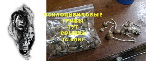 ешки Аркадак