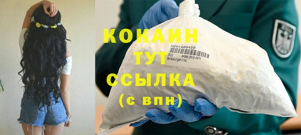 PSILOCYBIN Яранск