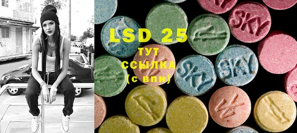 PSILOCYBIN Яранск