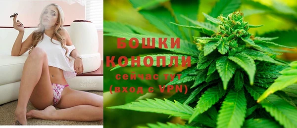 ешки Аркадак
