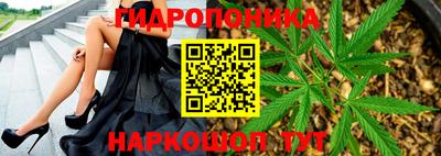 дживик Аргун