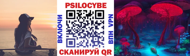 Псилоцибиновые грибы MAGIC MUSHROOMS  darknet как зайти  Белово  наркошоп 