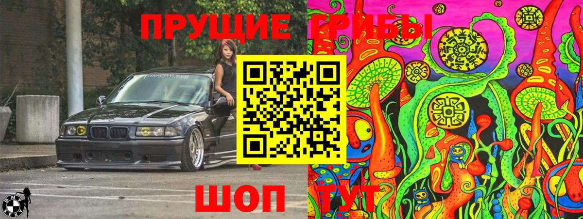 Псилоцибиновые грибы Cubensis  Белово 