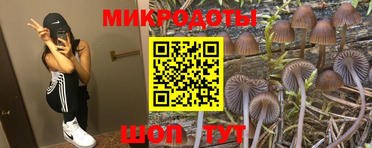 Галлюциногенные грибы MAGIC MUSHROOMS  цена наркотик  Белово  Псилоцибиновые грибы GOLDEN TEACHER  Вход с VPN 