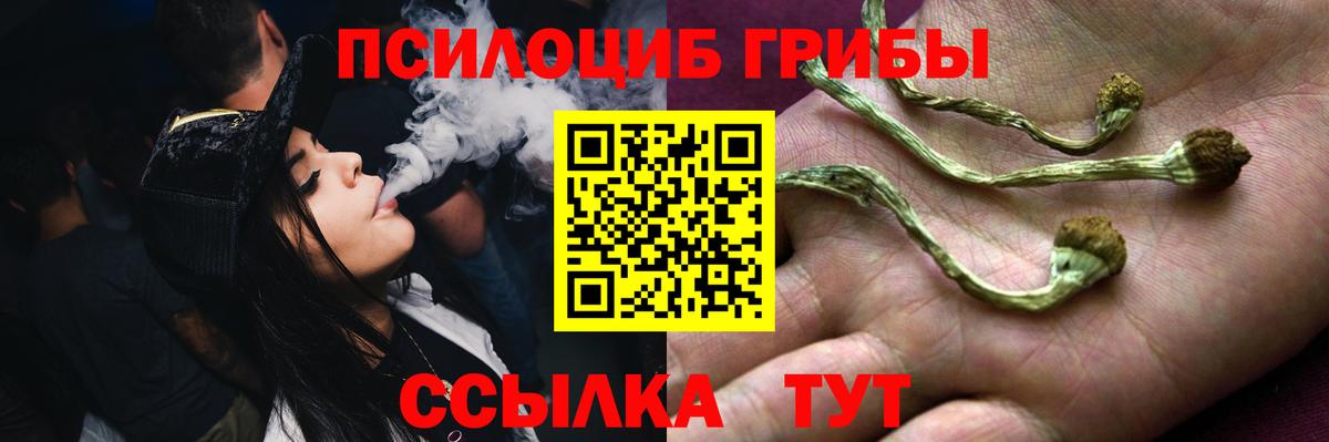 Галлюциногенные грибы Magic Shrooms Белово